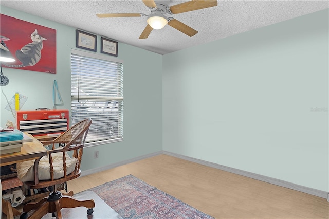 office space featuring light hardwood / wood-style flooring, ceiling fan, and a textured ceiling