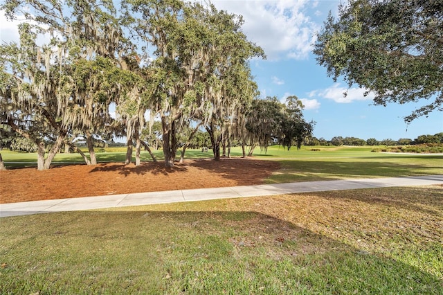 view of community with a lawn