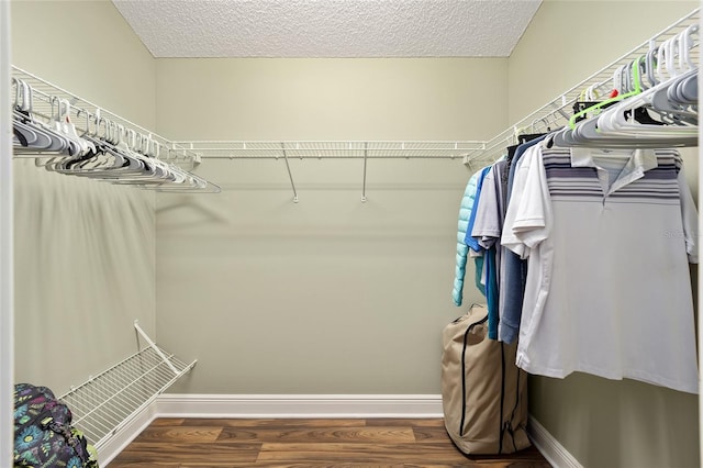 spacious closet featuring dark hardwood / wood-style floors