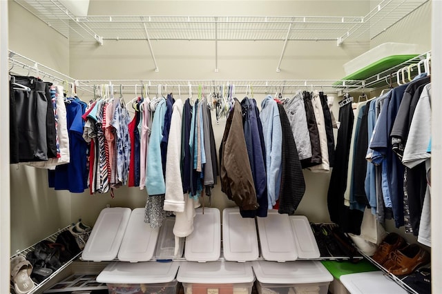 view of spacious closet