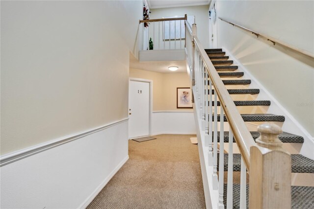 stairway with carpet flooring