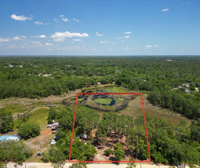 Holly Branch Rd, Eustis FL, 32736 land for sale