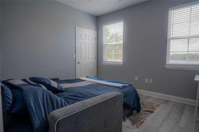 bedroom featuring wood-type flooring