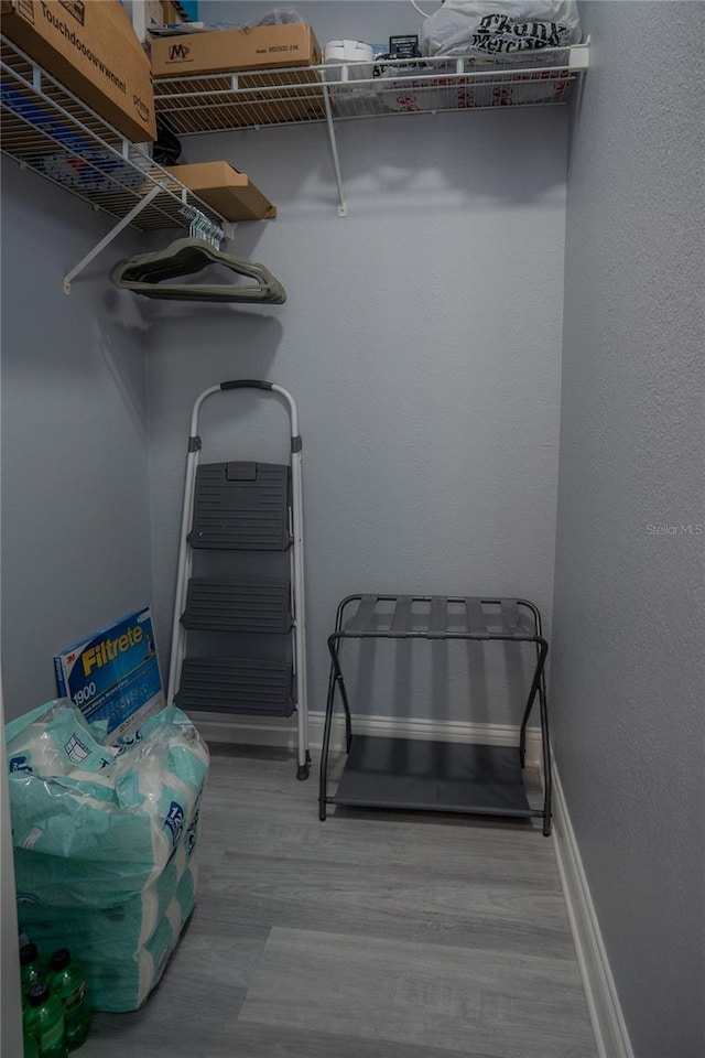 spacious closet with hardwood / wood-style flooring