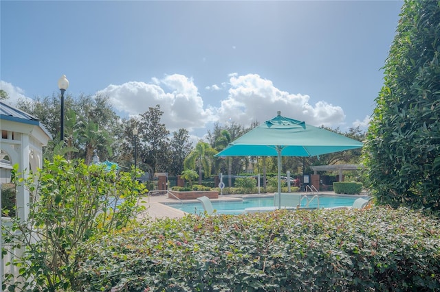 3406 Soho St Unit 102, Orlando, FL 32835 - view of swimming pool