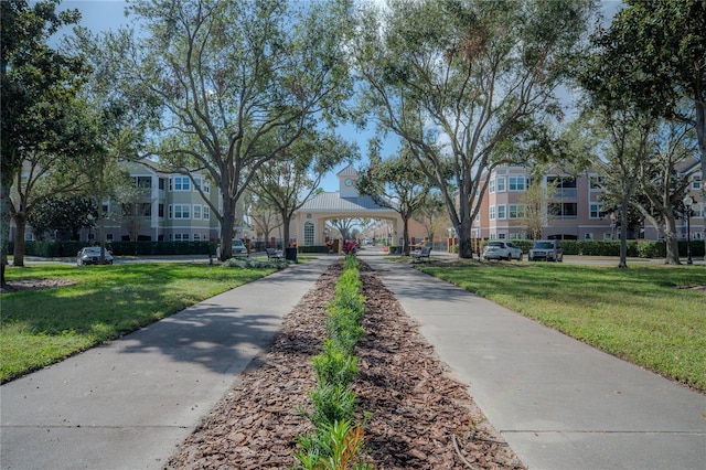 view of community with a yard