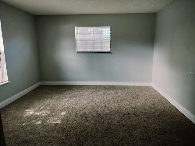 spare room with carpet