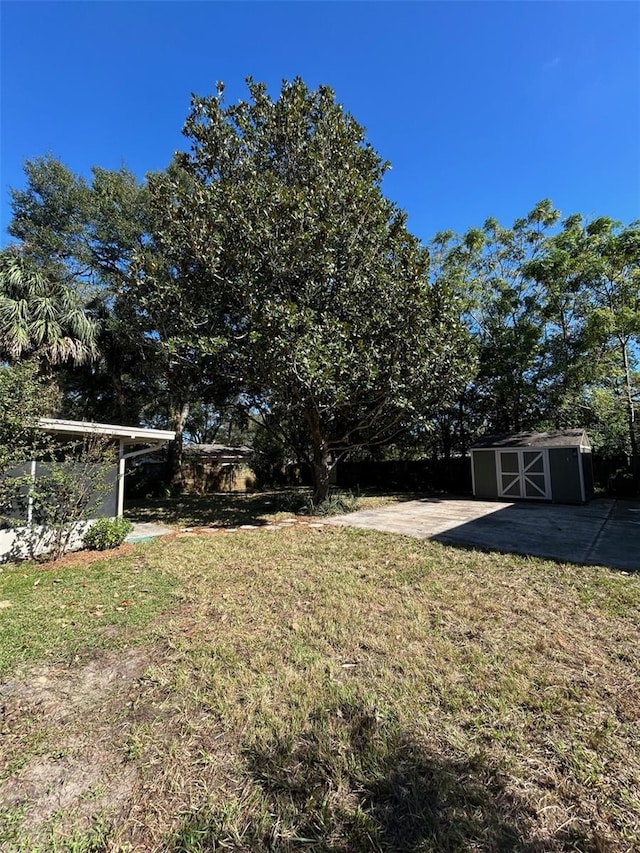 view of yard with a shed