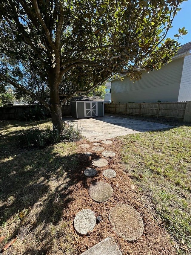 view of yard featuring a patio and a shed