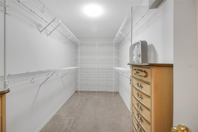 spacious closet with light colored carpet