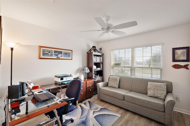 office featuring ceiling fan and light wood-type flooring