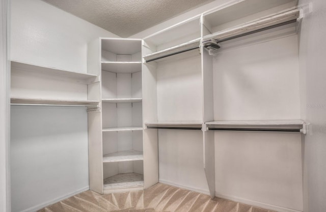 walk in closet with light colored carpet