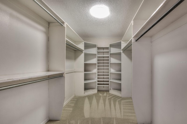 walk in closet featuring light carpet