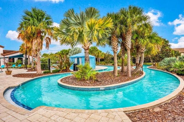 view of swimming pool