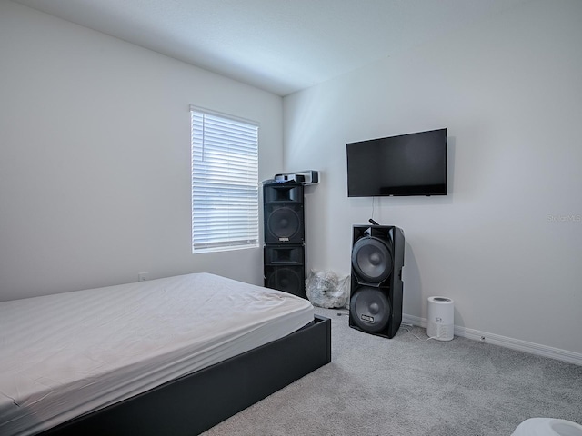 bedroom featuring carpet floors