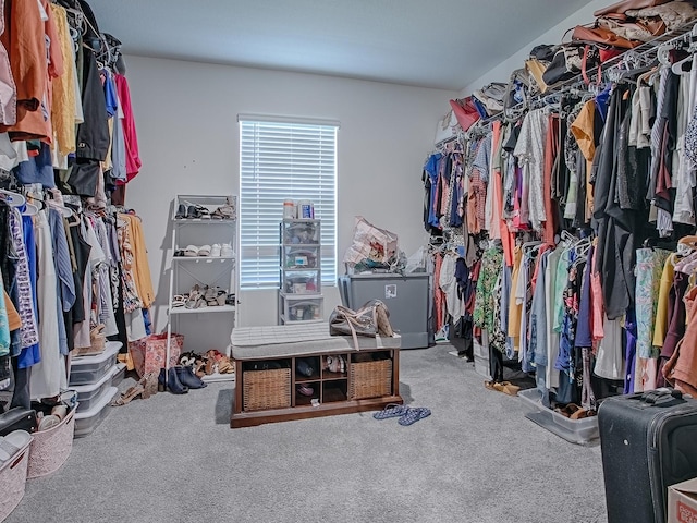 walk in closet featuring carpet flooring