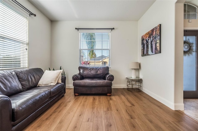 living room with light hardwood / wood-style floors