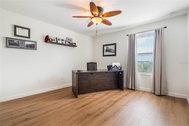 office space featuring ceiling fan and light wood-type flooring