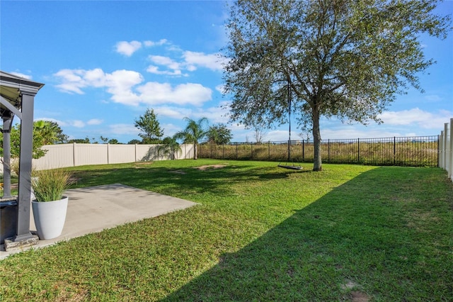 view of yard featuring a patio