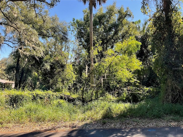 E Fruitland St, Fruitland Park FL, 34731 land for sale