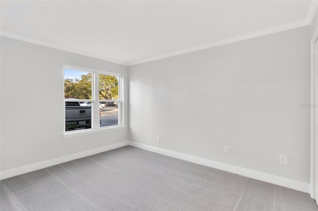 empty room with carpet flooring and crown molding