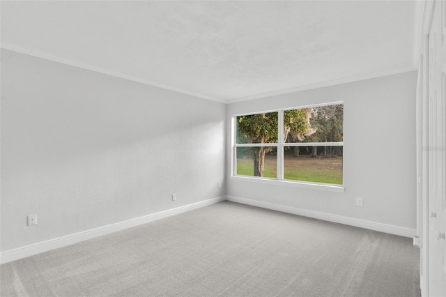 unfurnished room with crown molding and carpet