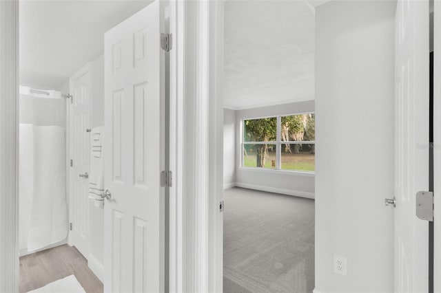 corridor with light colored carpet