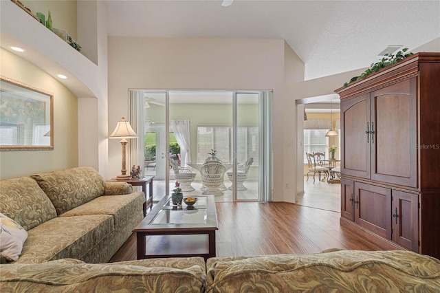 living room featuring plenty of natural light, high vaulted ceiling, and light hardwood / wood-style floors