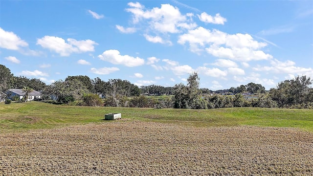 view of property's community with a yard