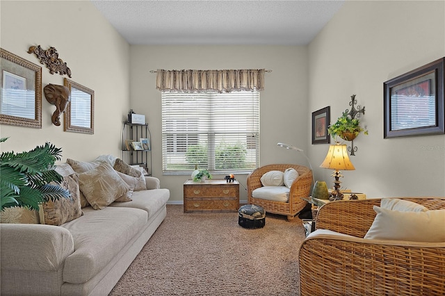 living room featuring carpet and a textured ceiling