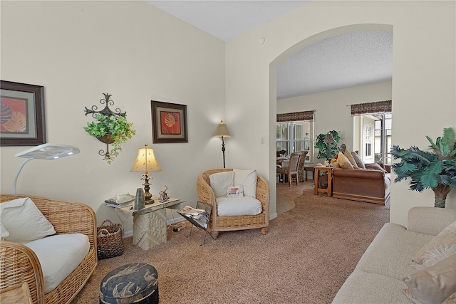 living room featuring carpet flooring and a textured ceiling