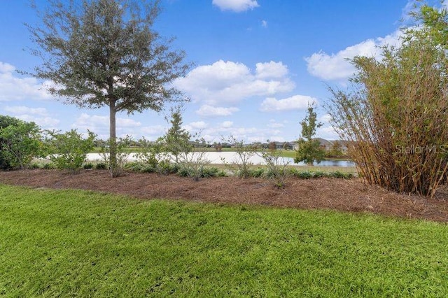 view of yard featuring a water view