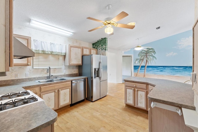 kitchen featuring light brown cabinetry, sink, stainless steel appliances, and a textured ceiling