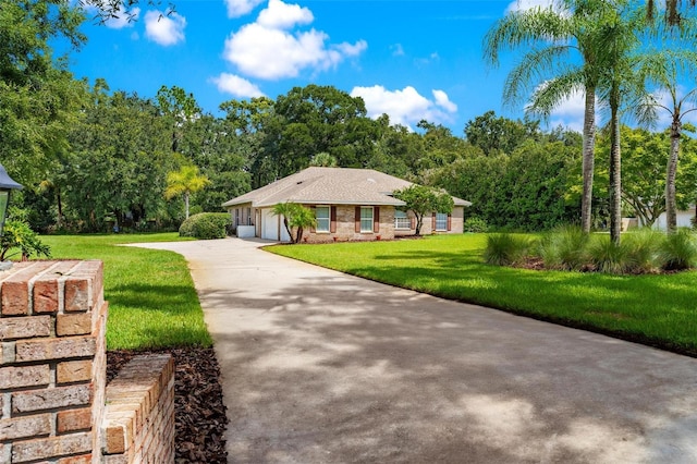 ranch-style home with a front yard