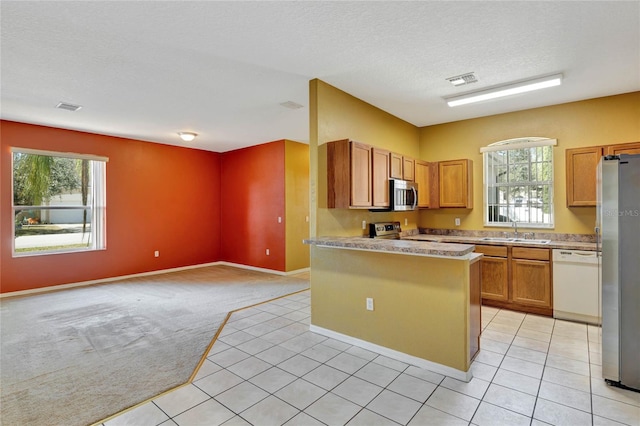 kitchen with light carpet, sink, a textured ceiling, and appliances with stainless steel finishes