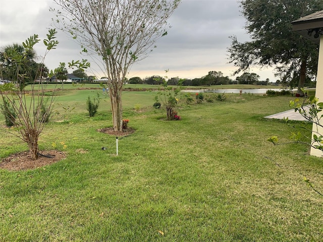 view of yard with a water view