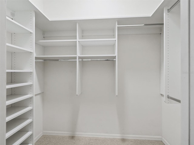 spacious closet featuring carpet flooring