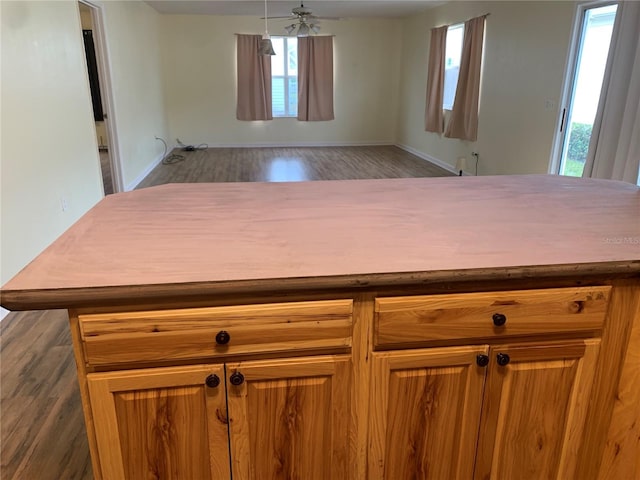 kitchen with a healthy amount of sunlight and dark hardwood / wood-style floors