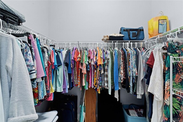 view of spacious closet