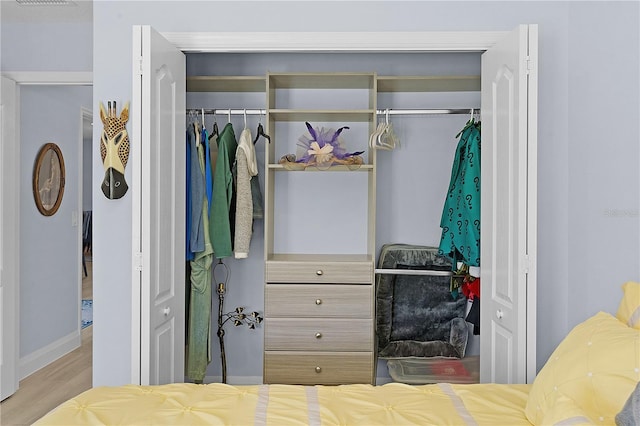 view of closet