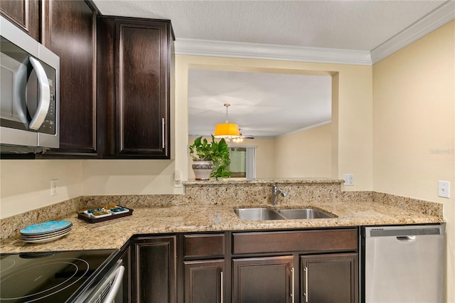 kitchen with dark brown cabinetry, sink, a textured ceiling, appliances with stainless steel finishes, and ornamental molding