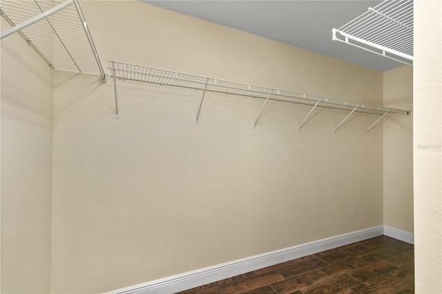 spacious closet with dark wood-type flooring