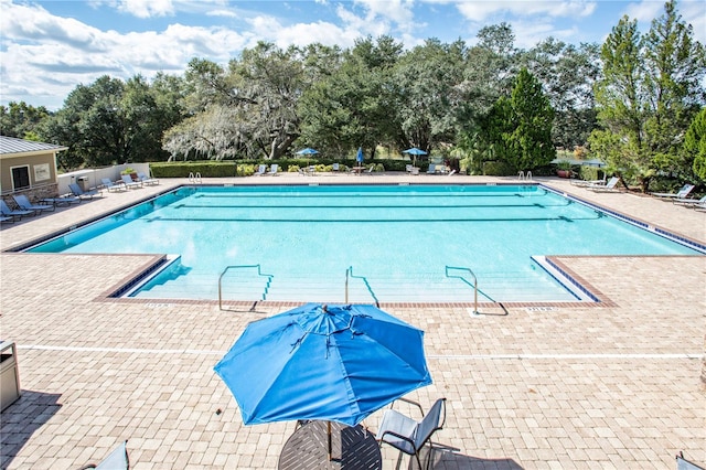 view of pool featuring a patio