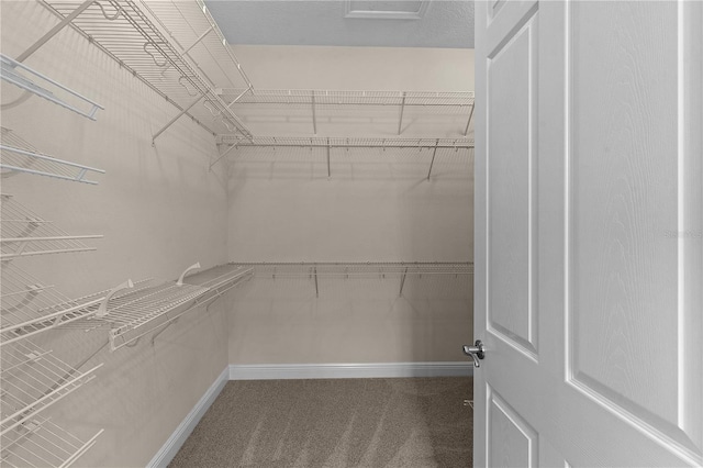 walk in closet featuring carpet