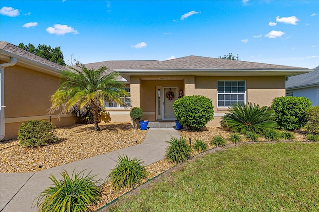 ranch-style house featuring a front lawn