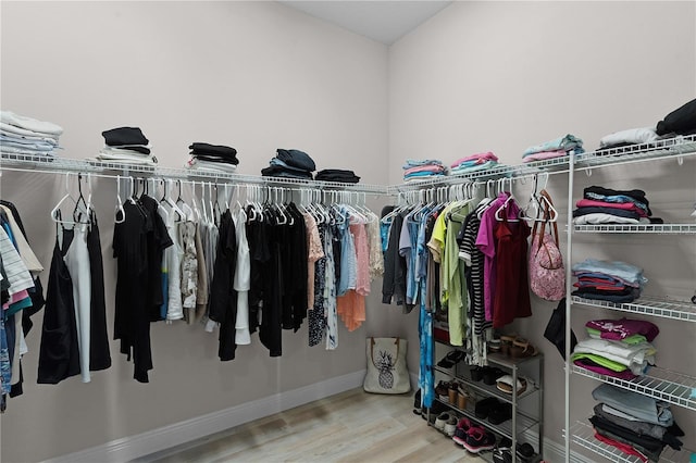 spacious closet with hardwood / wood-style flooring