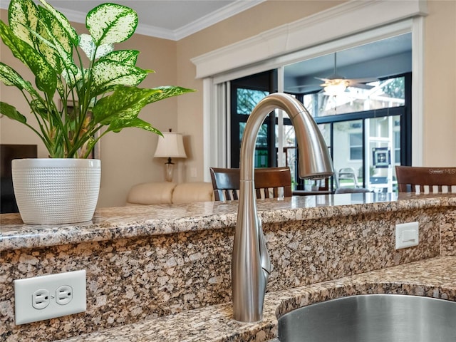 details featuring a sink, ornamental molding, and a ceiling fan