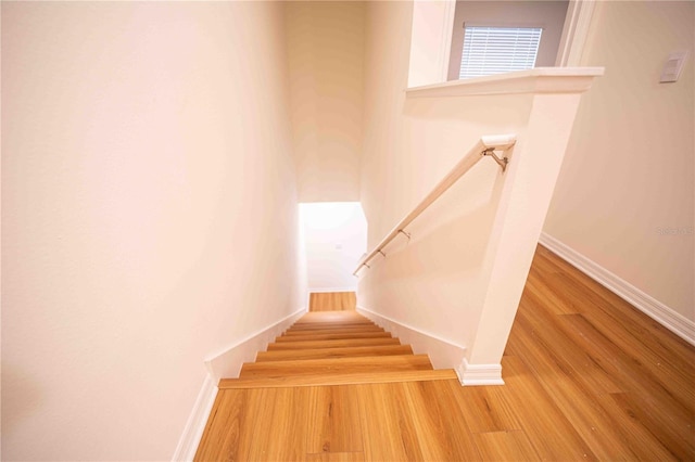 stairs with hardwood / wood-style flooring