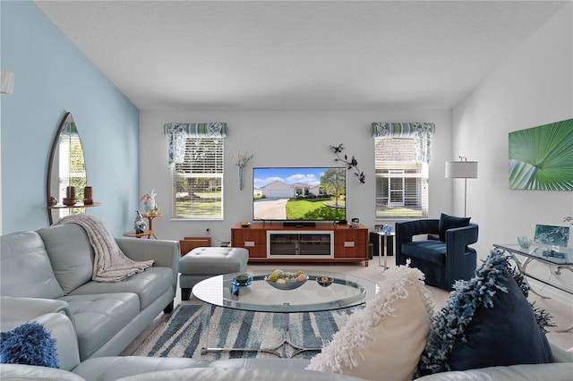 living room with a textured ceiling and a wealth of natural light