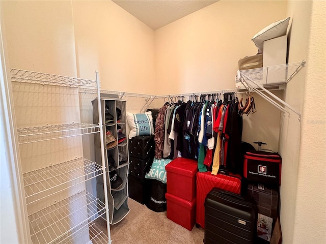 walk in closet with carpet flooring